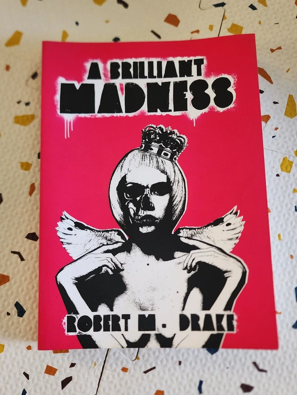 A Brilliant Madness by Robert M. Drake New Book Poetry